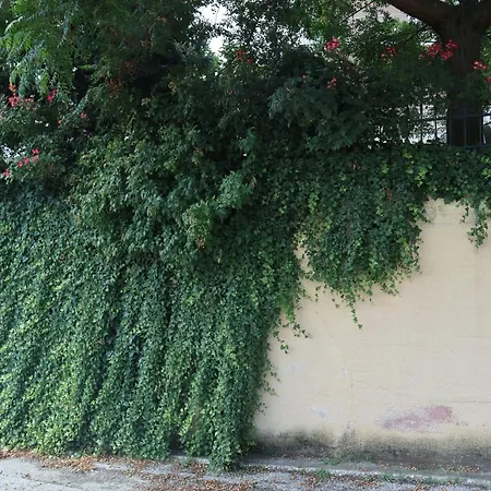 Angela House Tatil Evi *